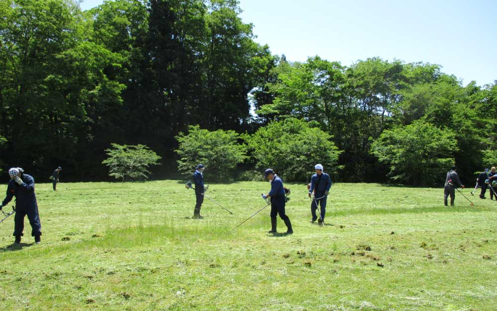 おくたま親水公園アドプト清掃